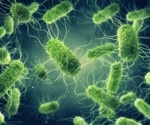 Salmonella Outbreak Linked to Shell Eggs: Scientific Perspective on the 2025 Outbreak
