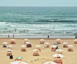 Bacterial Risks at Beaches and Evidence-Based Safety Strategies