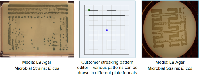 Streamline screening using automated microbial plating