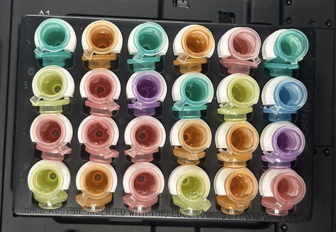 Glycerol 50% with source samples after transfer to be frozen (above).