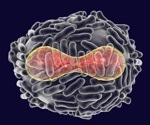 What is Smallpox?