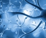 Neuroblastoma Research