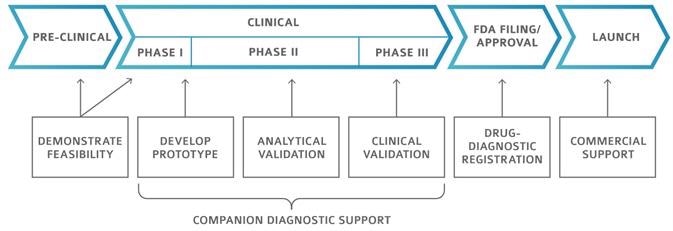 Cerba support your patients through companion diagnostics