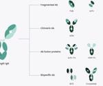 Recombinant antibodies: Expression, application and formats