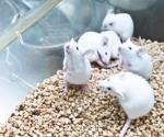 The Effects of Different Housing Strategies for Mice and Insights Into Animal Well-Being via PhenoTyper