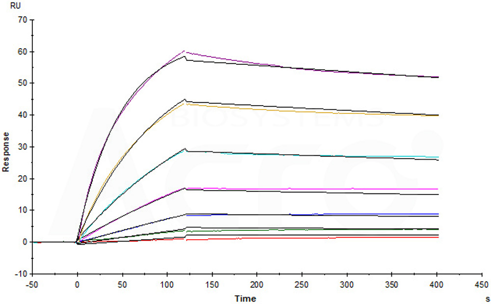 Reviewing immunological breast cancer targets