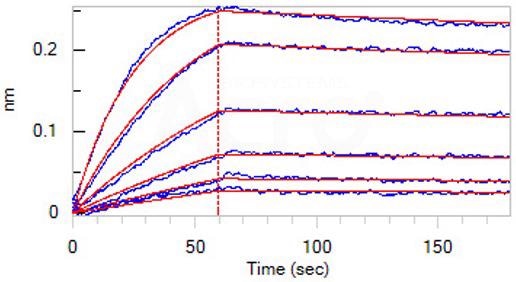 IFN-γ: Targeted antibodies for detection and monitoring