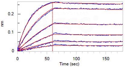 IFN-γ: Targeted antibodies for detection and monitoring