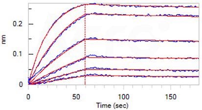 IFN-γ: Targeted antibodies for detection and monitoring