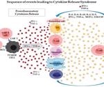 IFN-γ: Targeted antibodies for detection and monitoring