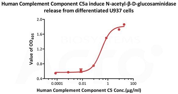 The complement cascade and its therapeutic potential in COVID-19, cancer and general inflammation