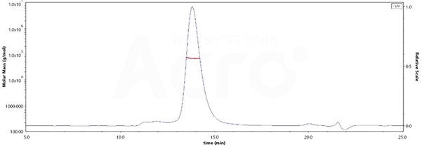 Dual targeting of both LILRB and HLA-G for an effective anti-cancer immunotherapy combination