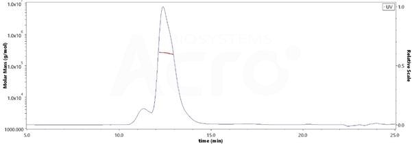 Dual targeting of both LILRB and HLA-G for an effective anti-cancer immunotherapy combination