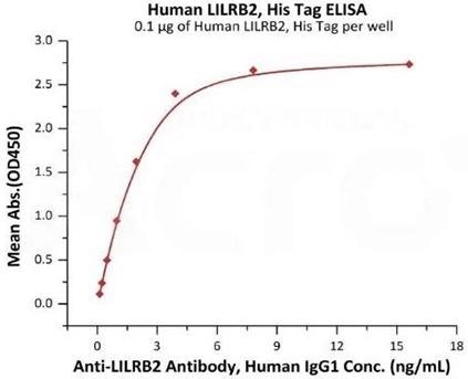 Dual targeting of both LILRB and HLA-G for an effective anti-cancer immunotherapy combination
