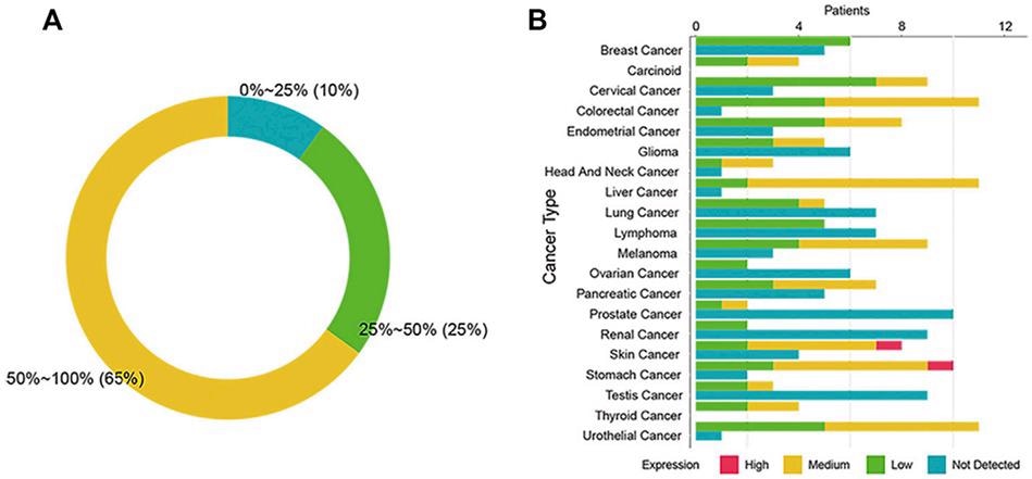 Examining SSTR2 as a potential therapeutic target for cancer therapy