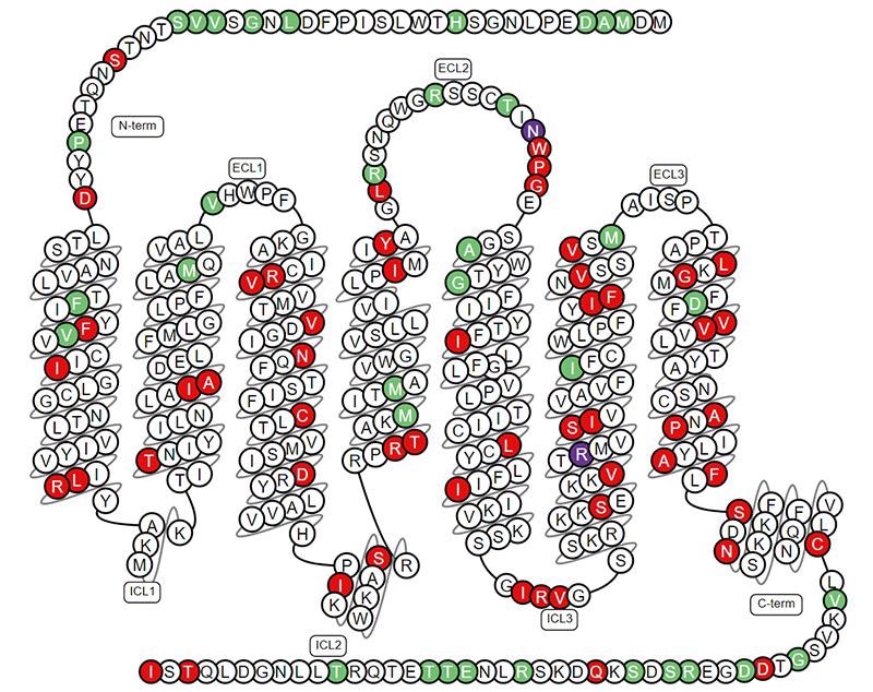 Examining SSTR2 as a potential therapeutic target for cancer therapy