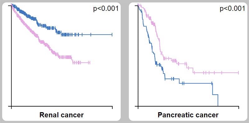 Examining SSTR2 as a potential therapeutic target for cancer therapy