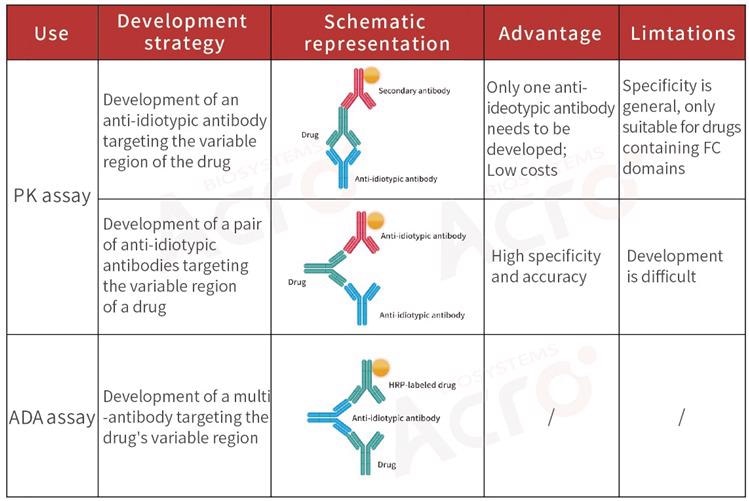 How to select a development strategy for anti-idiotypic antibodies