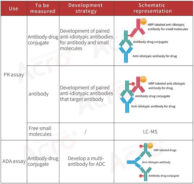 How to select a development strategy for anti-idiotypic antibodies
