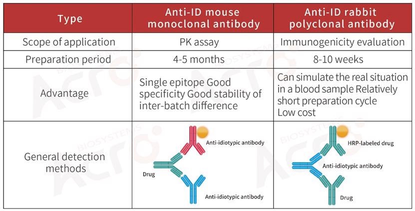 How to select a development strategy for anti-idiotypic antibodies