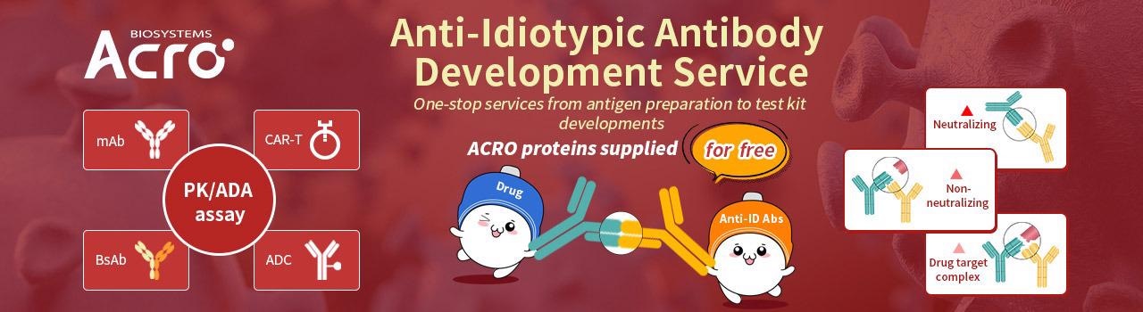 How to select a development strategy for anti-idiotypic antibodies