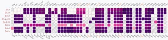 COVID-19: Omicron recombinants, where could the next strain emerge?