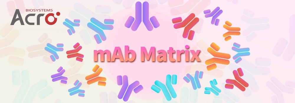 Deriving Anti-TNF antibodies for use in therapeutic drugs, vaccines, and diagnostics