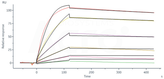 Deriving Anti-TNF antibodies for use in therapeutic drugs, vaccines, and diagnostics