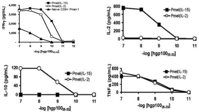 Demonstrating how to enhance antitumor activity and overcome T cell exhaustion