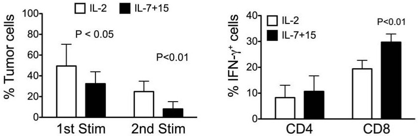 Demonstrating how to enhance antitumor activity and overcome T cell exhaustion