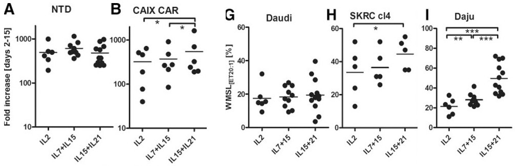 Demonstrating how to enhance antitumor activity and overcome T cell exhaustion
