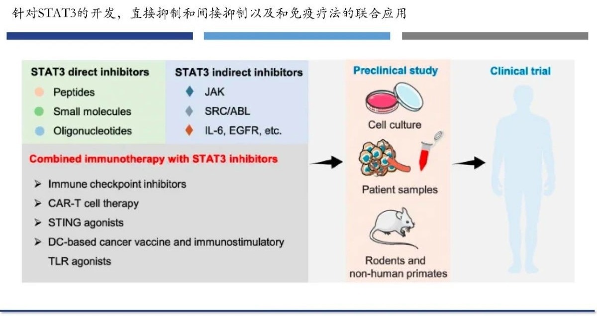 Understanding STAT3, the intersection of many carcinogenic signaling pathways