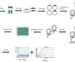 Improving cancer diagnostics and therapeutics through nanobody research