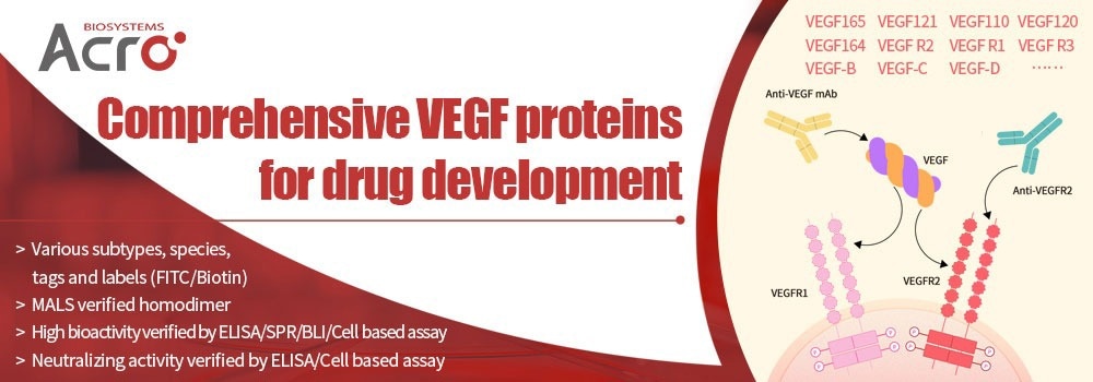 VEGF: A consistent target for antitumor therapy