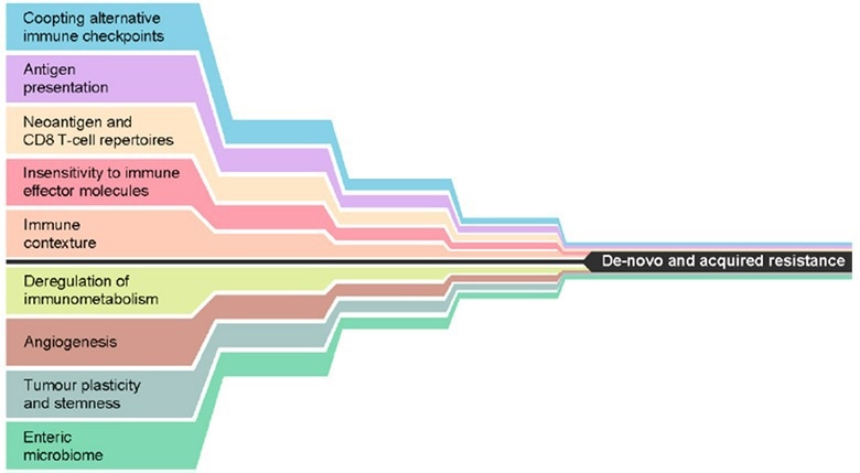 Fighting against cancer with innovative immune checkpoint therapy