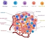Fighting against cancer with innovative immune checkpoint therapy