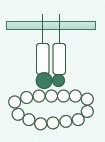 The role of cell adhesion molecules in immune and cancer therapy