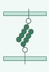 The role of cell adhesion molecules in immune and cancer therapy