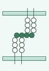 The role of cell adhesion molecules in immune and cancer therapy