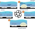 Facilitating antibody-drug and vaccine development with CRISPR/Cas editing tools
