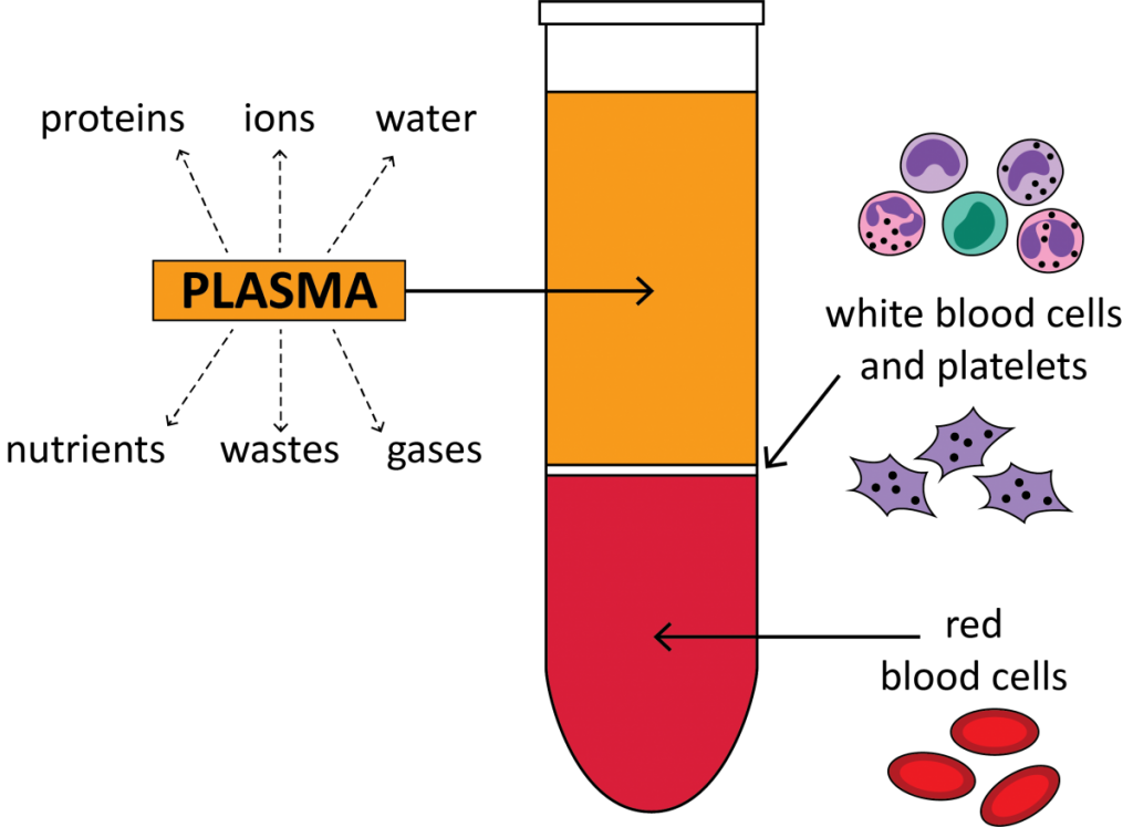 Everything about blood separation