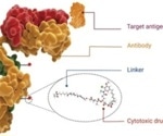 Making antibody-drug conjugate development more rapid through site-specific conjugation