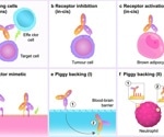 Ensuring the quality control of bispecific antibody drugs in development