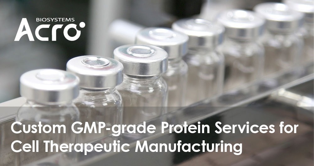 Manufacturing cell therapeutics through GMP-grade protein services