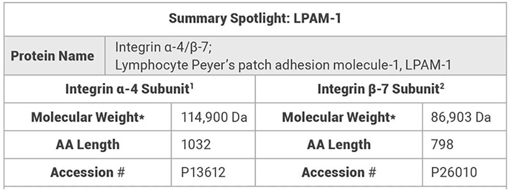 A critical target for chronic gastrointestinal disorders: Integrin 4/7 (LPAM-1)