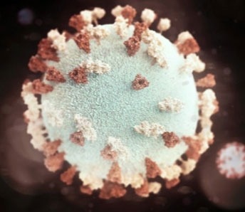 A critical target for chronic gastrointestinal disorders: Integrin 4/7 (LPAM-1)