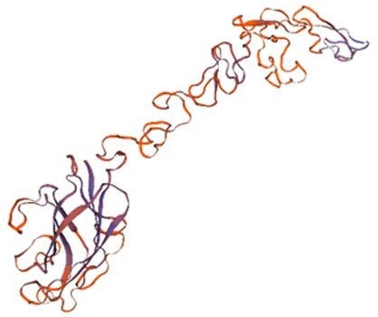 Important targets for small cell lung cancer treatment: DLL3 & Notch