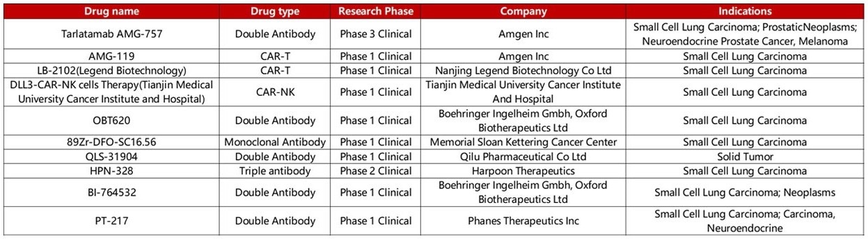 Important targets for small cell lung cancer treatment: DLL3 & Notch