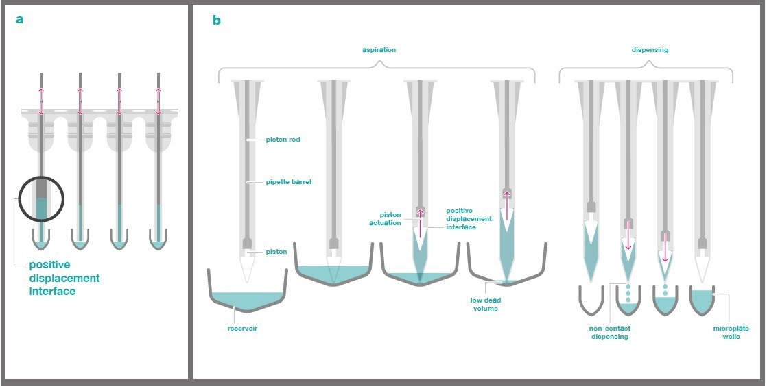 Exploring miniaturized DNA quantification assays with positive-displacement liquid handlers