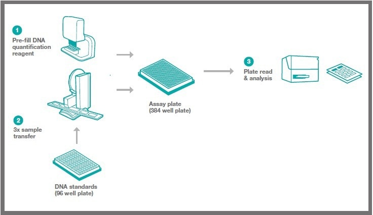 Exploring miniaturized DNA quantification assays with positive-displacement liquid handlers